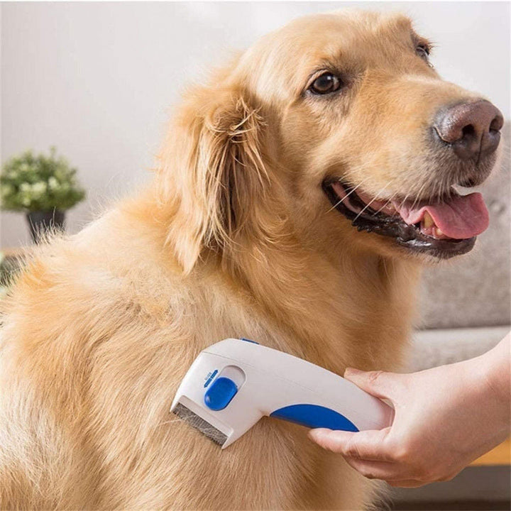 Premium Quality Electric Flea Remover Without Pesticides For Dogs And Cats