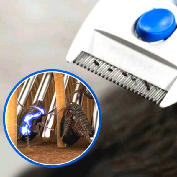 Premium Quality Electric Flea Remover Without Pesticides For Dogs And Cats