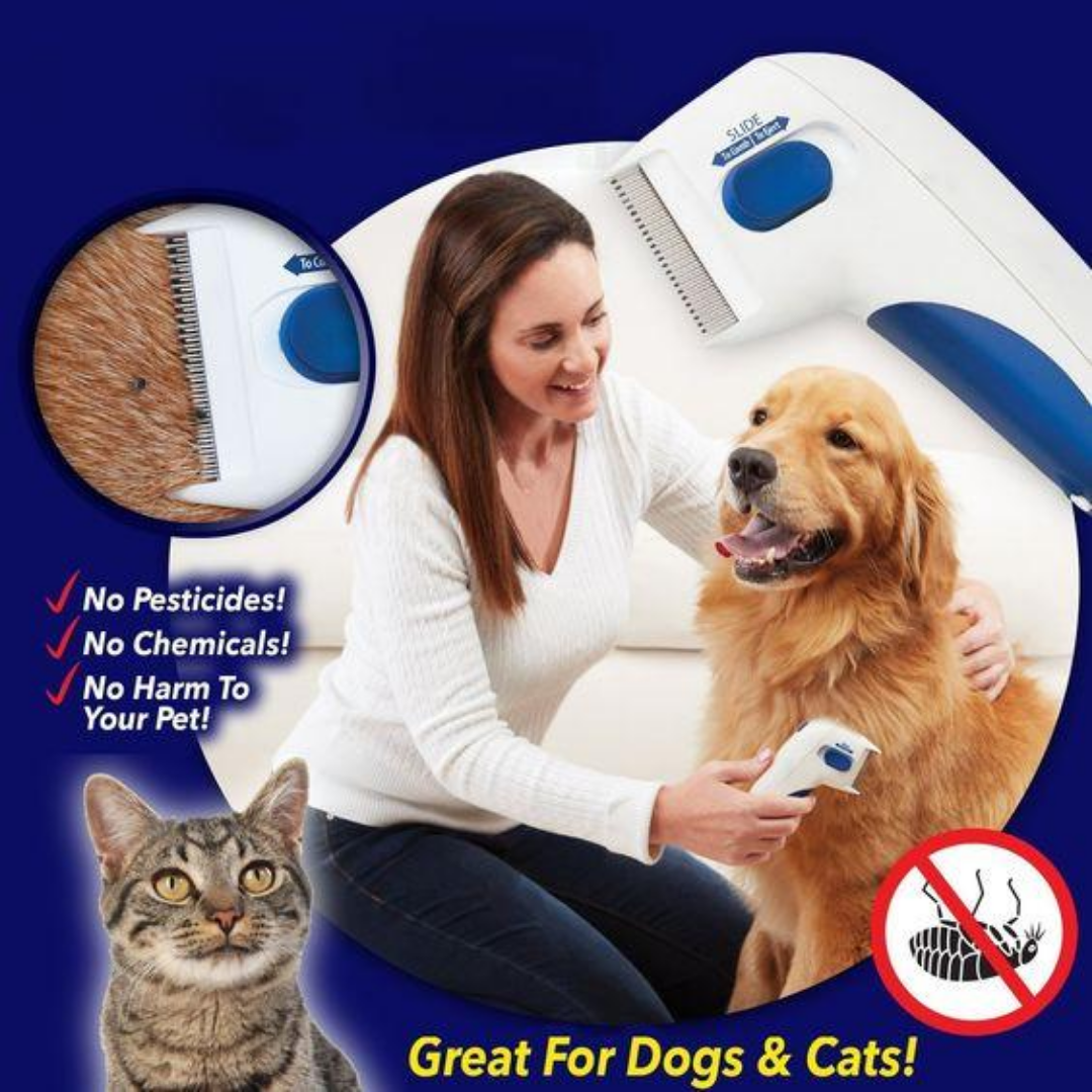 Premium Quality Electric Flea Remover Without Pesticides For Dogs And Cats