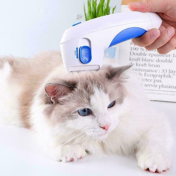 Premium Quality Electric Flea Remover Without Pesticides For Dogs And Cats